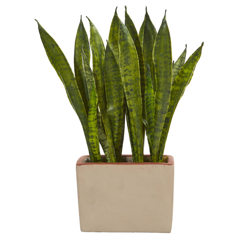 Orren Ellis 12" Artificial Snake Plant in Planter & Reviews Wayfair